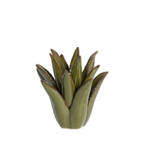 מחזיק לנר 21/21 CACTUS