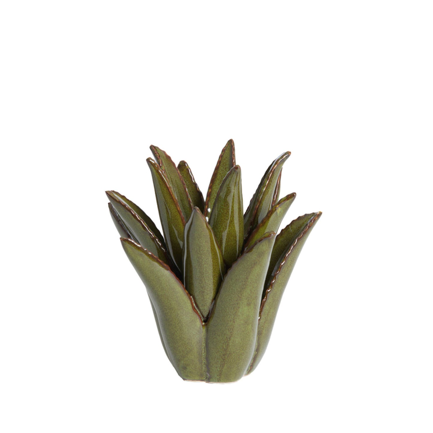 מחזיק לנר 21/21 CACTUS