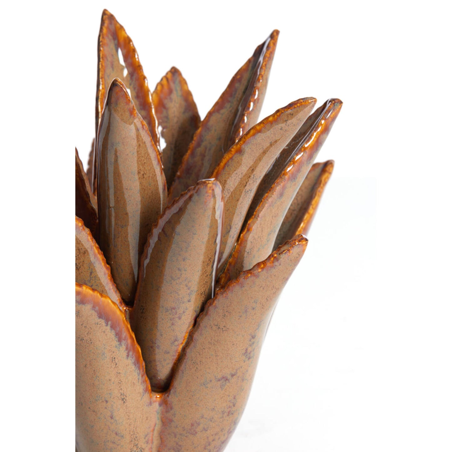 מחזיק לנר 21/21 CACTUS