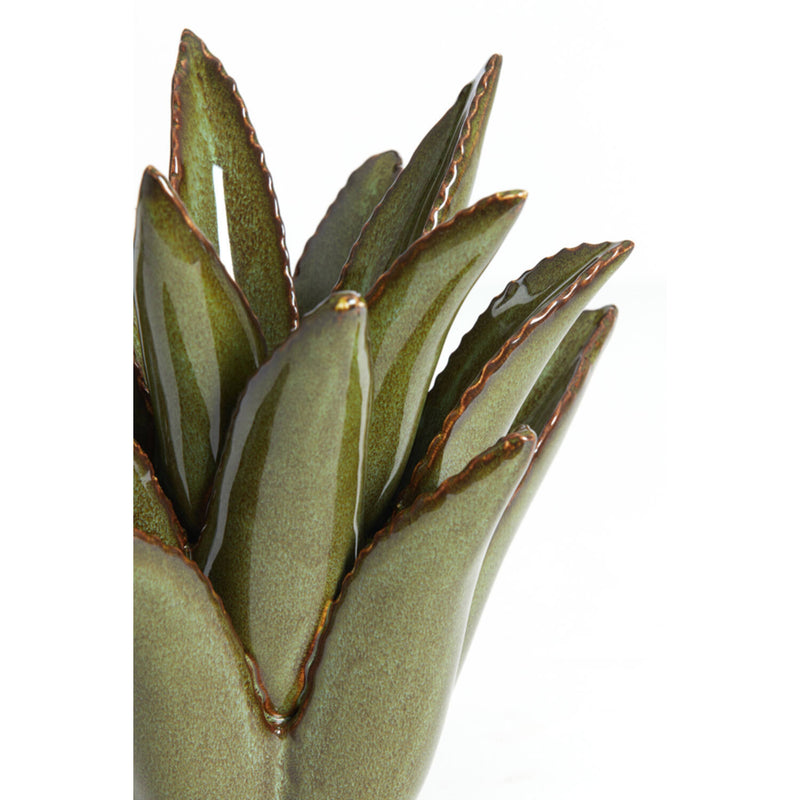 מחזיק לנר 21/21 CACTUS