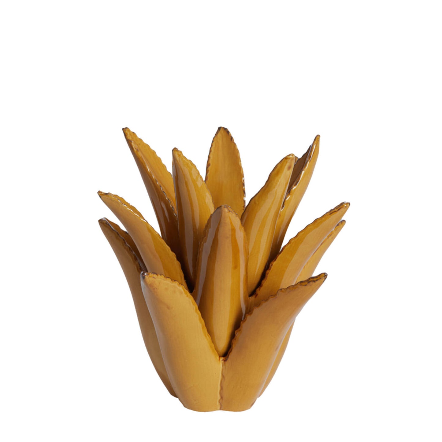 מחזיק לנר קרמיקה חומה 24.5/23 CACTUS