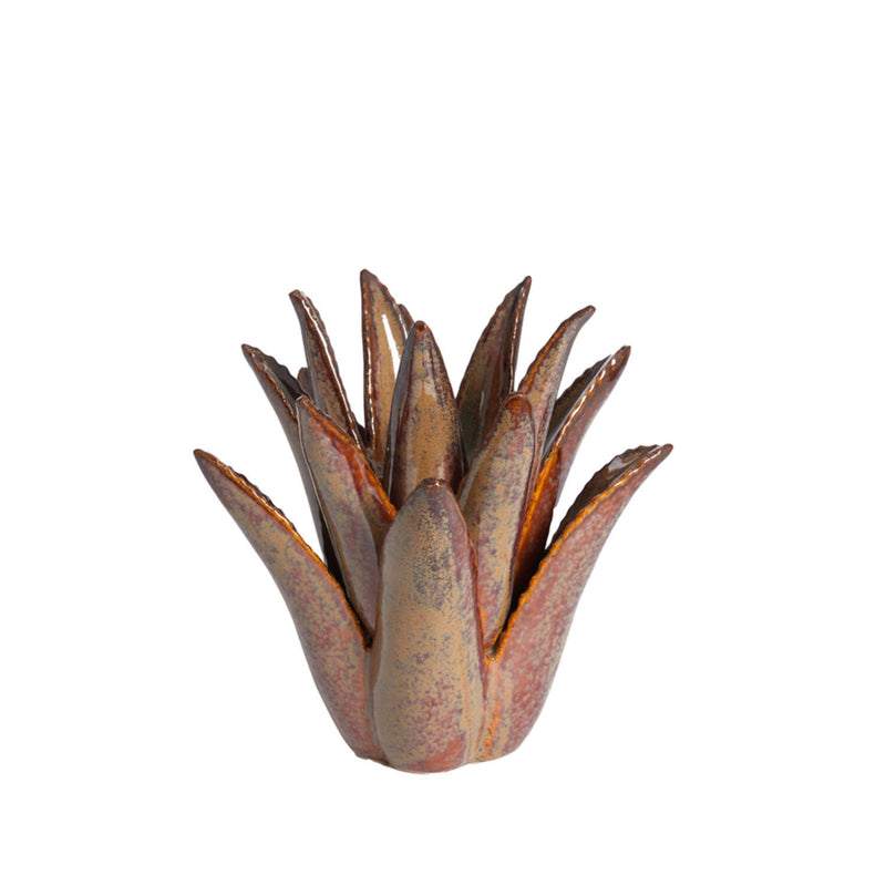 מחזיק לנר 21/21 CACTUS