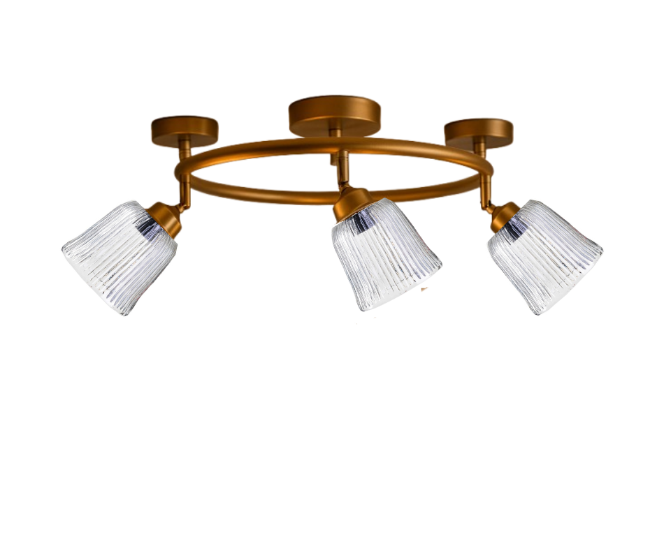 חישוק צמוד תקרה שלשייה+AM301