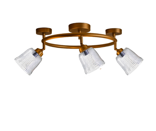 חישוק צמוד תקרה שלשייה+AM301